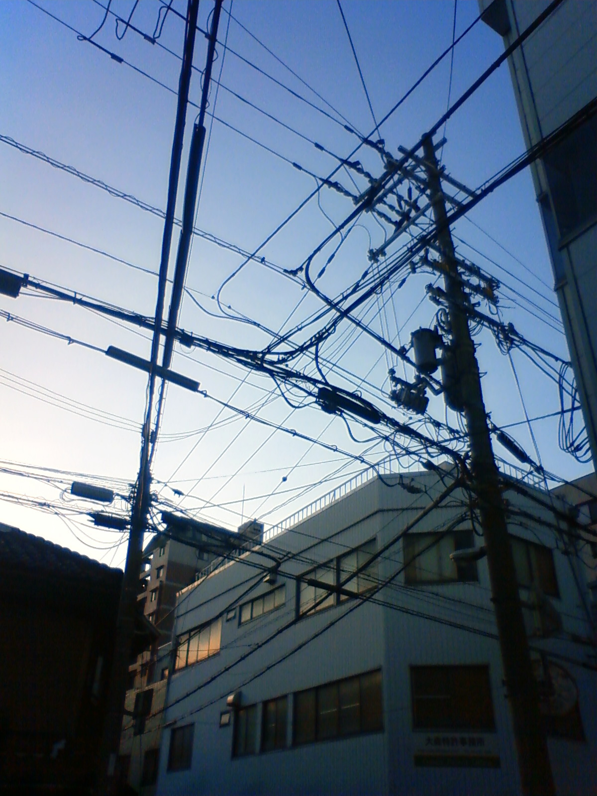 NEC_2116.JPG