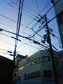 NEC_2116_thumb.png