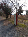 IMG_2024-12-25-09-51-51-516_thumb.png