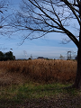 IMG_2024-12-25-09-52-22-550_thumb.png