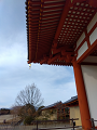 IMG_2024-12-25-10-02-15-133_thumb.png