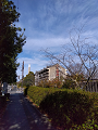 IMG_2024-12-25-12-52-56-230_thumb.png