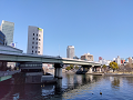 IMG_2023-03-06-09-38-44-742_thumb.png