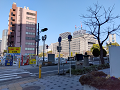 IMG_2023-03-06-09-52-56-263_thumb.png