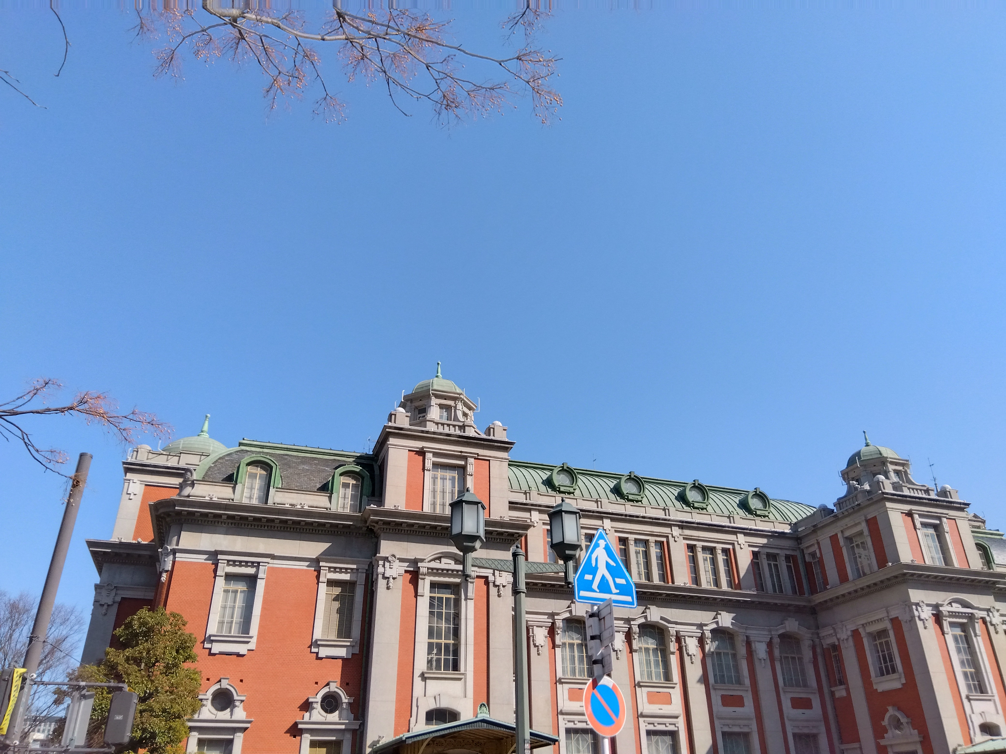 IMG_2023-03-06-09-55-42-485.jpg