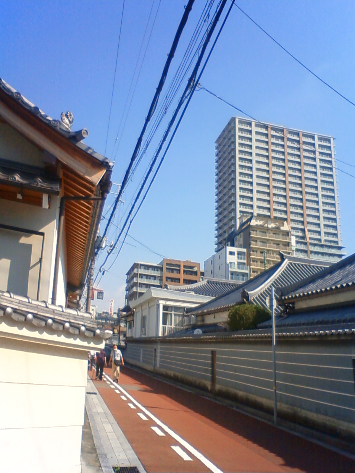 NEC_1444.JPG