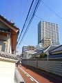 NEC_1444_thumb.png