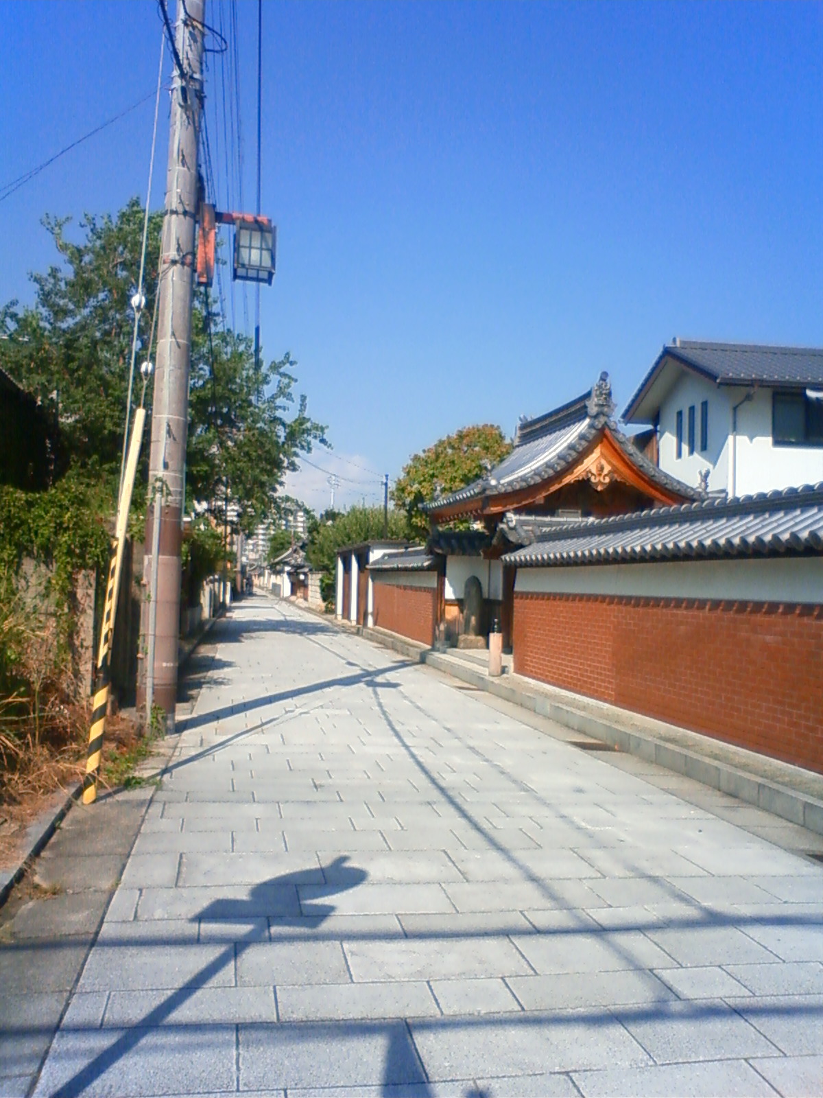 NEC_1445.JPG