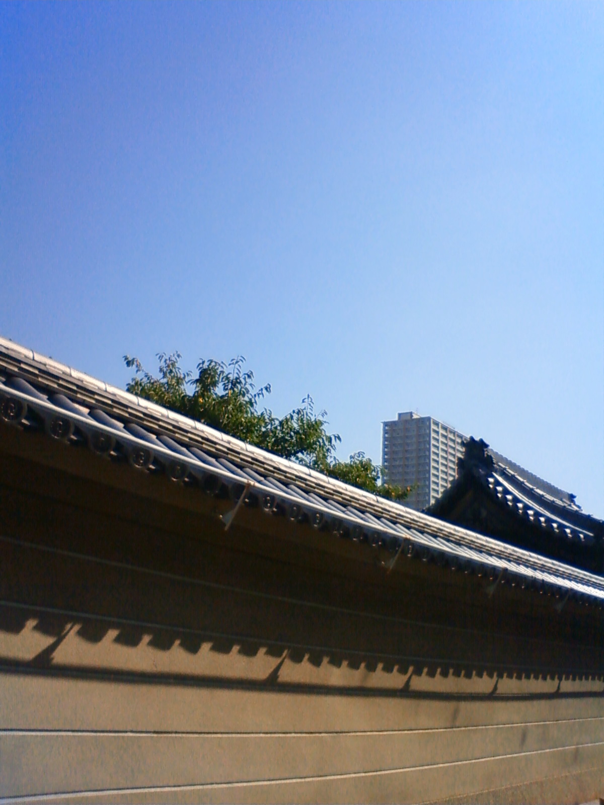 NEC_1453.JPG