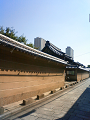 NEC_1454_thumb.png