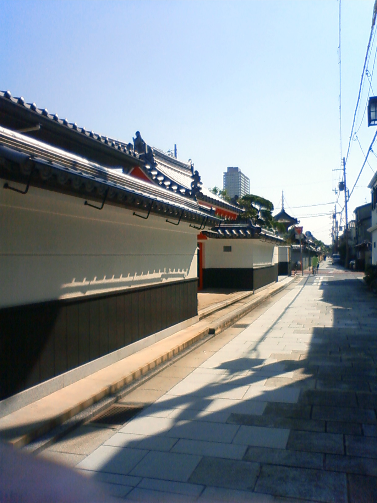 NEC_1455.JPG