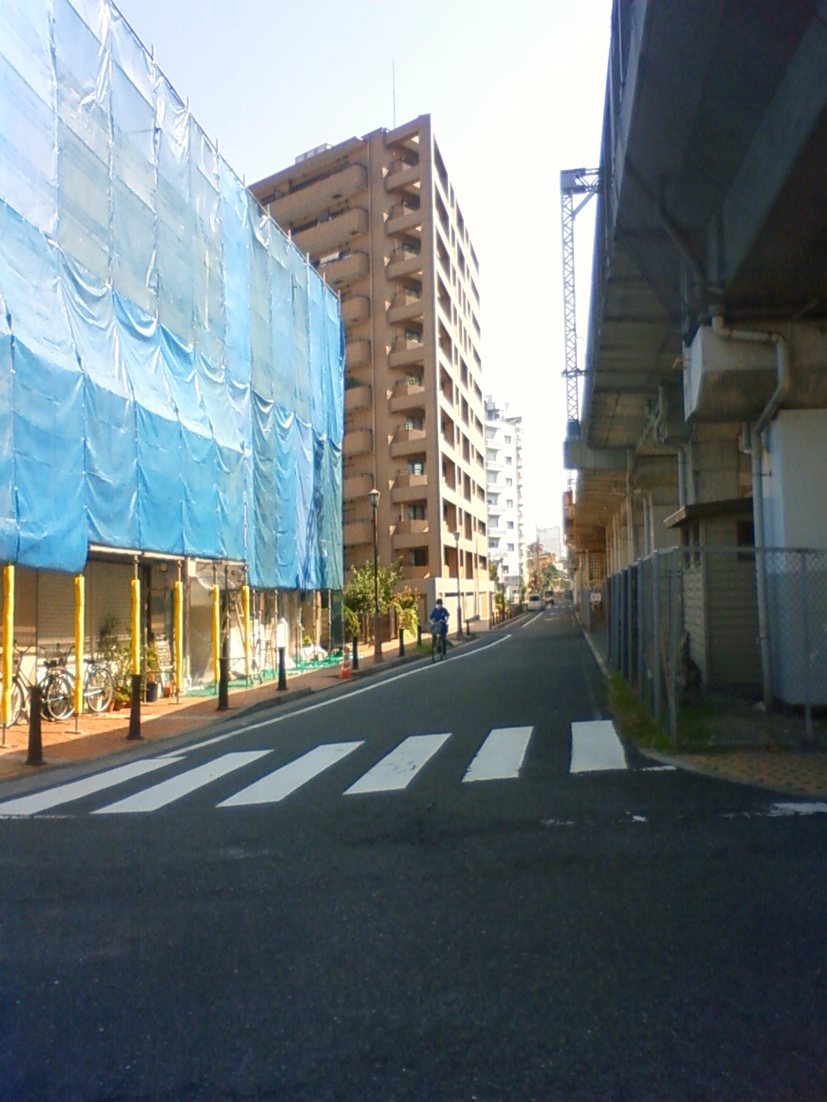 NEC_1459.JPG