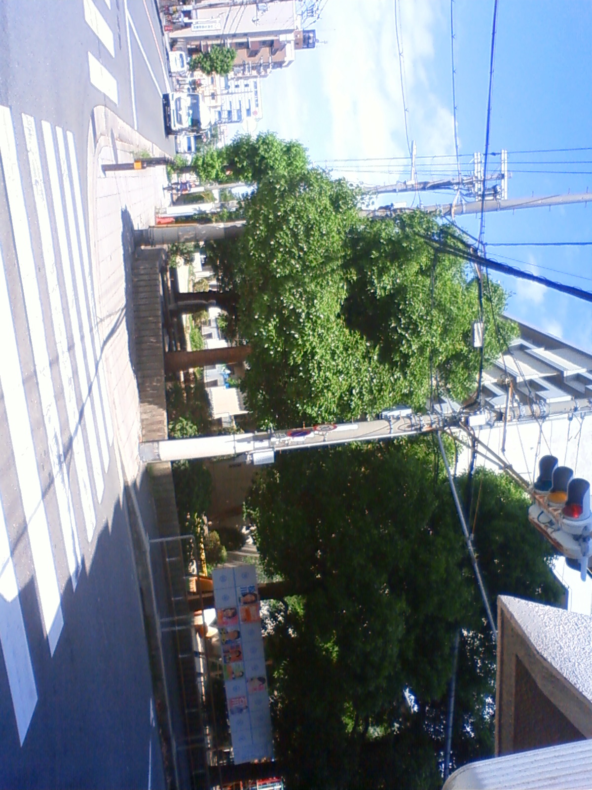 NEC_2367.JPG