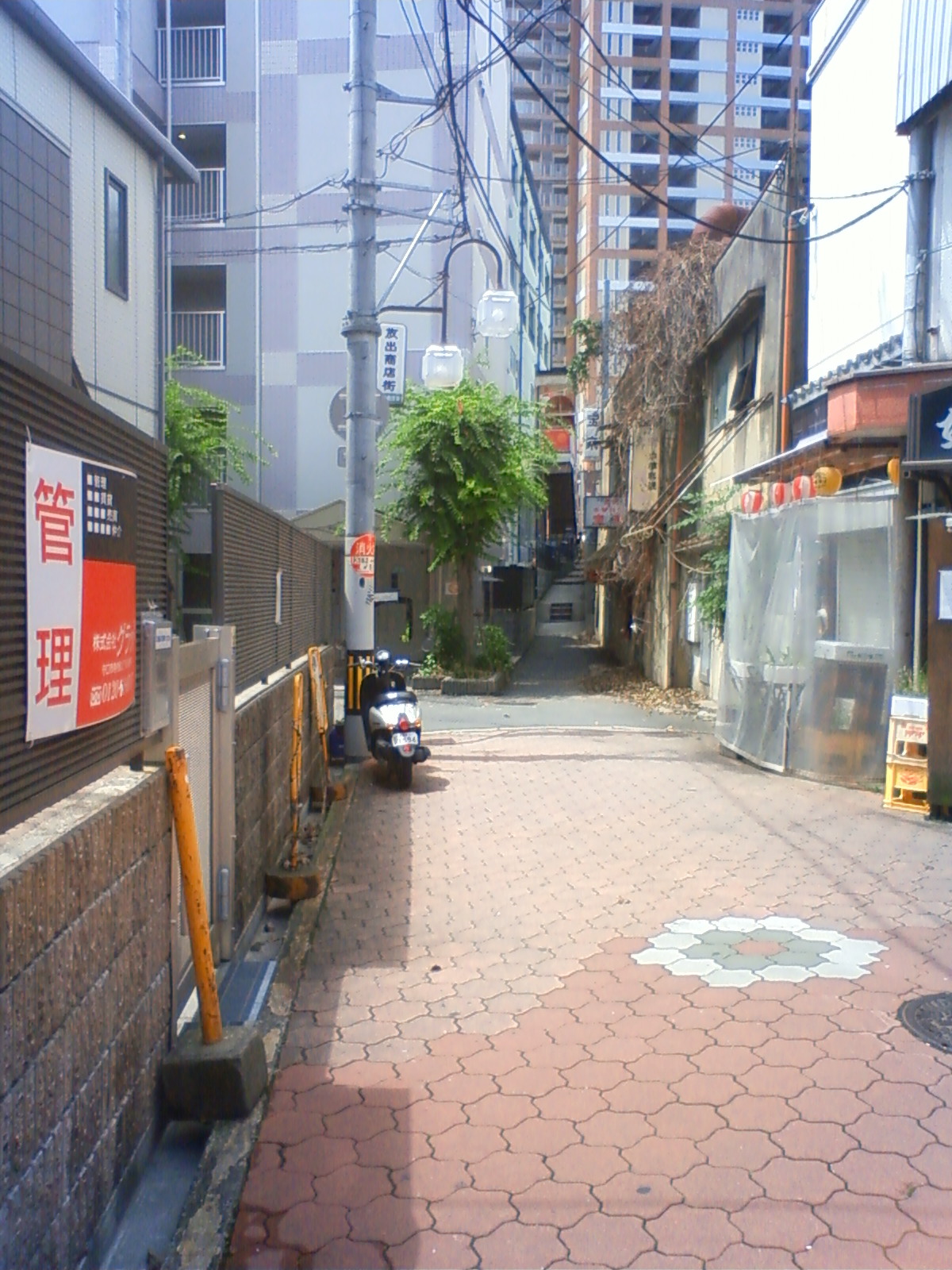 NEC_2374.JPG