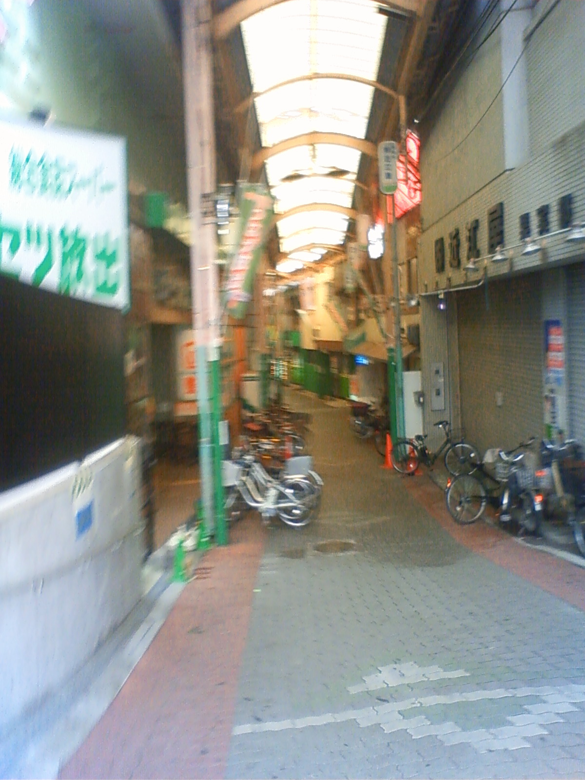 NEC_2381.JPG