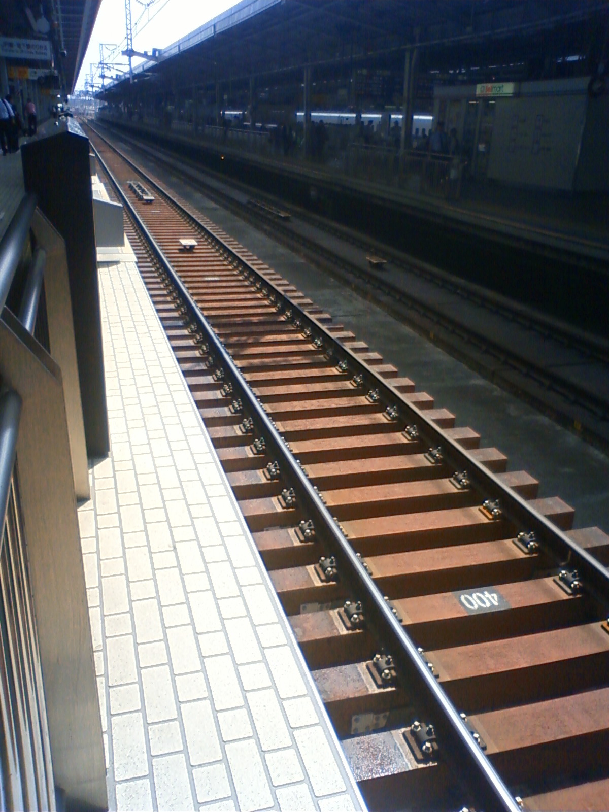 NEC_0807.JPG