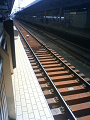 NEC_0807_thumb.png