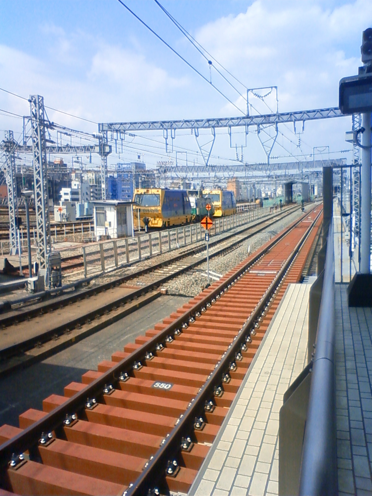 NEC_0812.JPG
