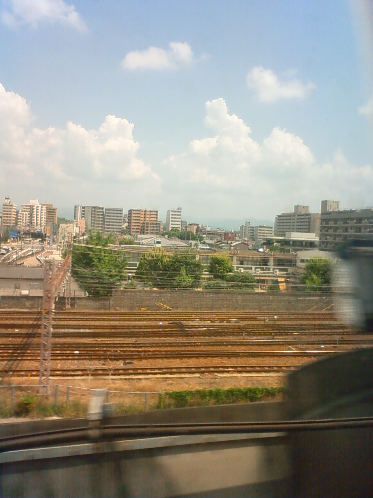 NEC_0824.JPG