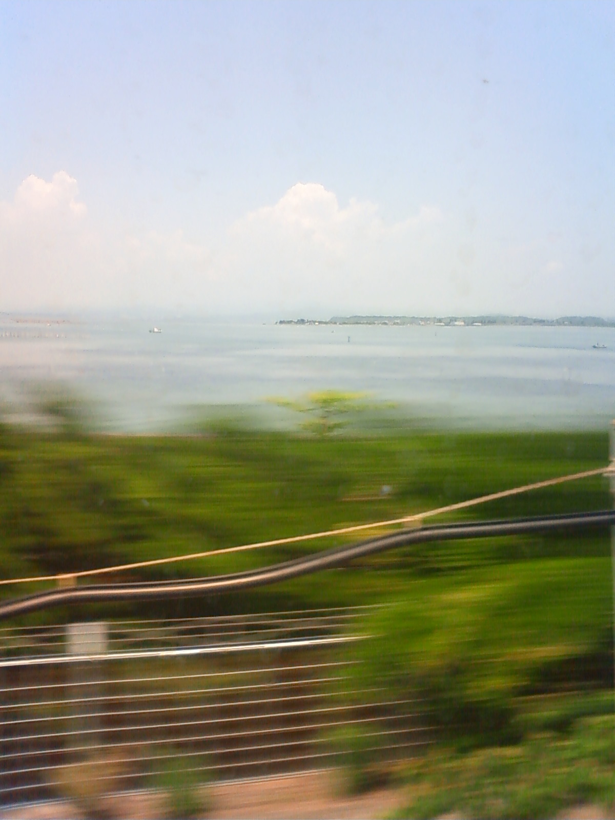 NEC_0828.JPG