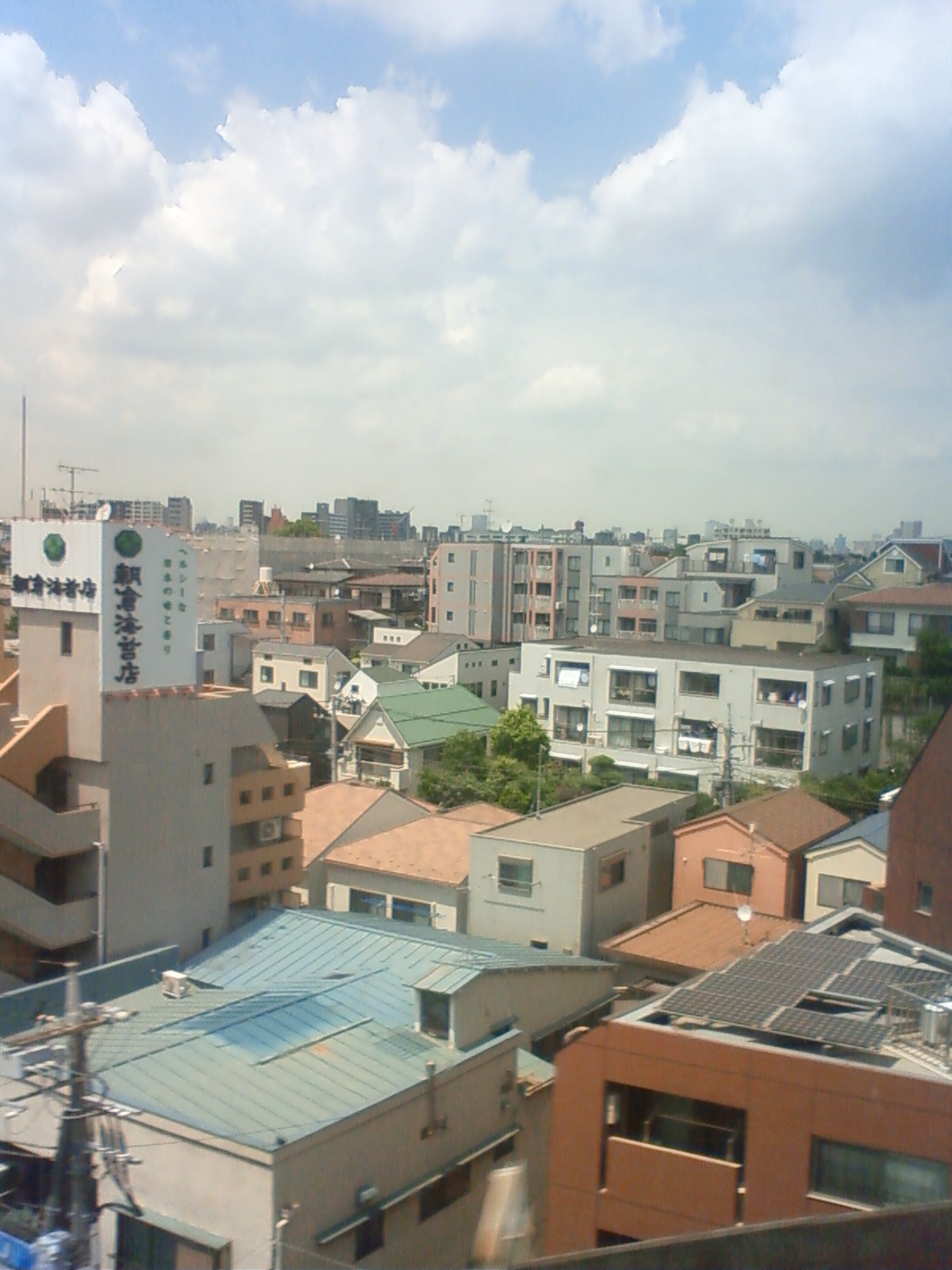 NEC_0840.JPG
