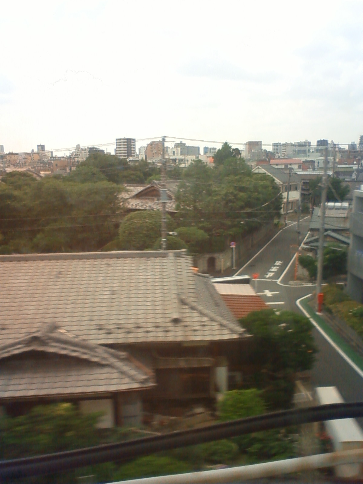 NEC_0842.JPG