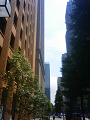 NEC_0856_thumb.png