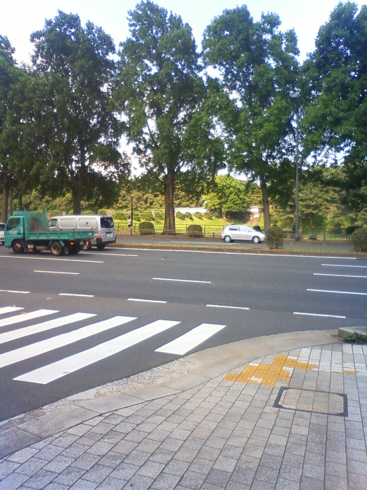 NEC_0865.JPG