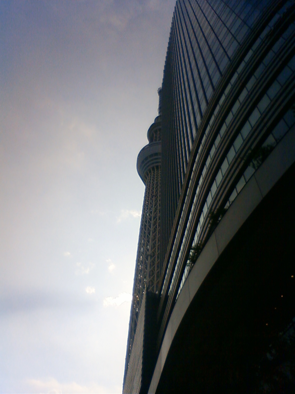 NEC_0875.JPG