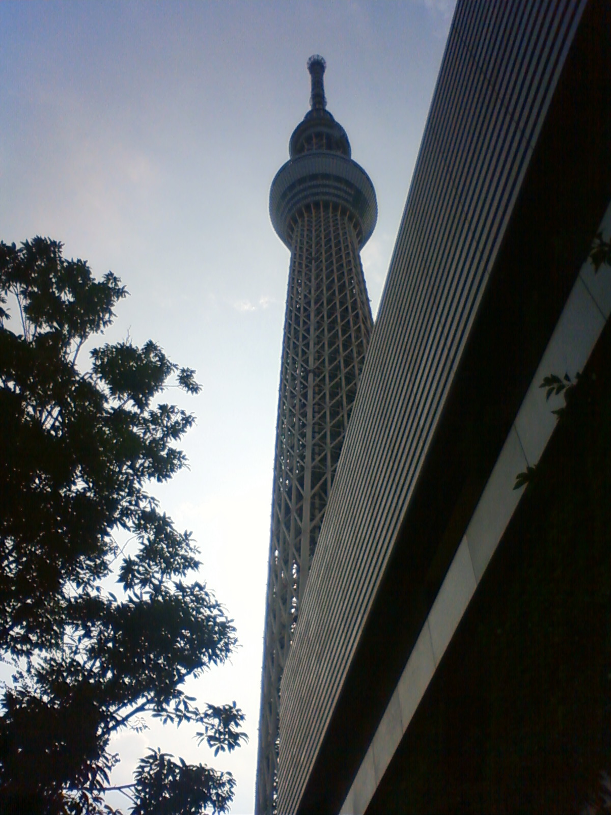 NEC_0877.JPG