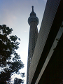NEC_0877_thumb.png