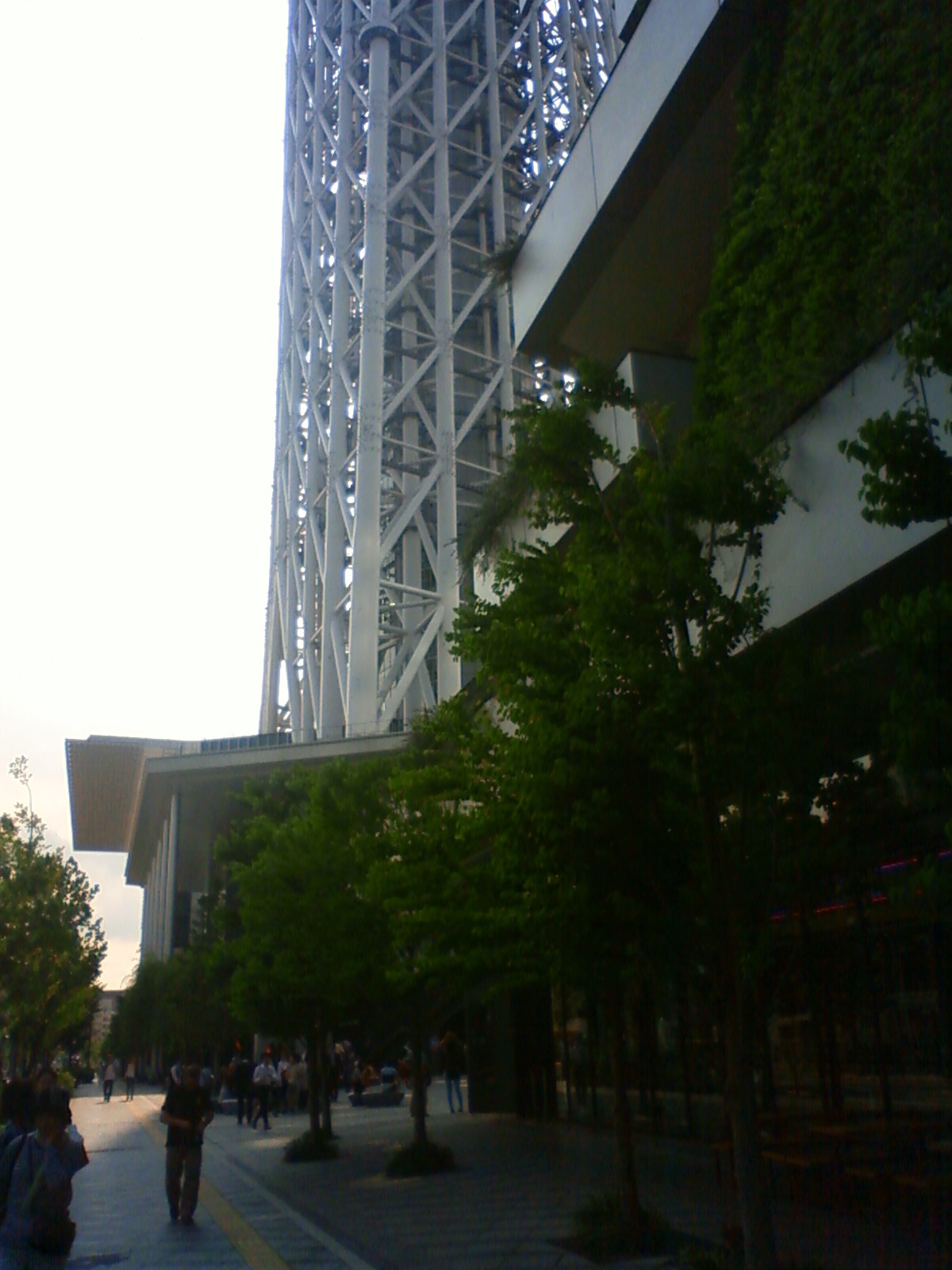 NEC_0879.JPG
