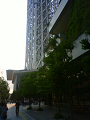 NEC_0879_thumb.png