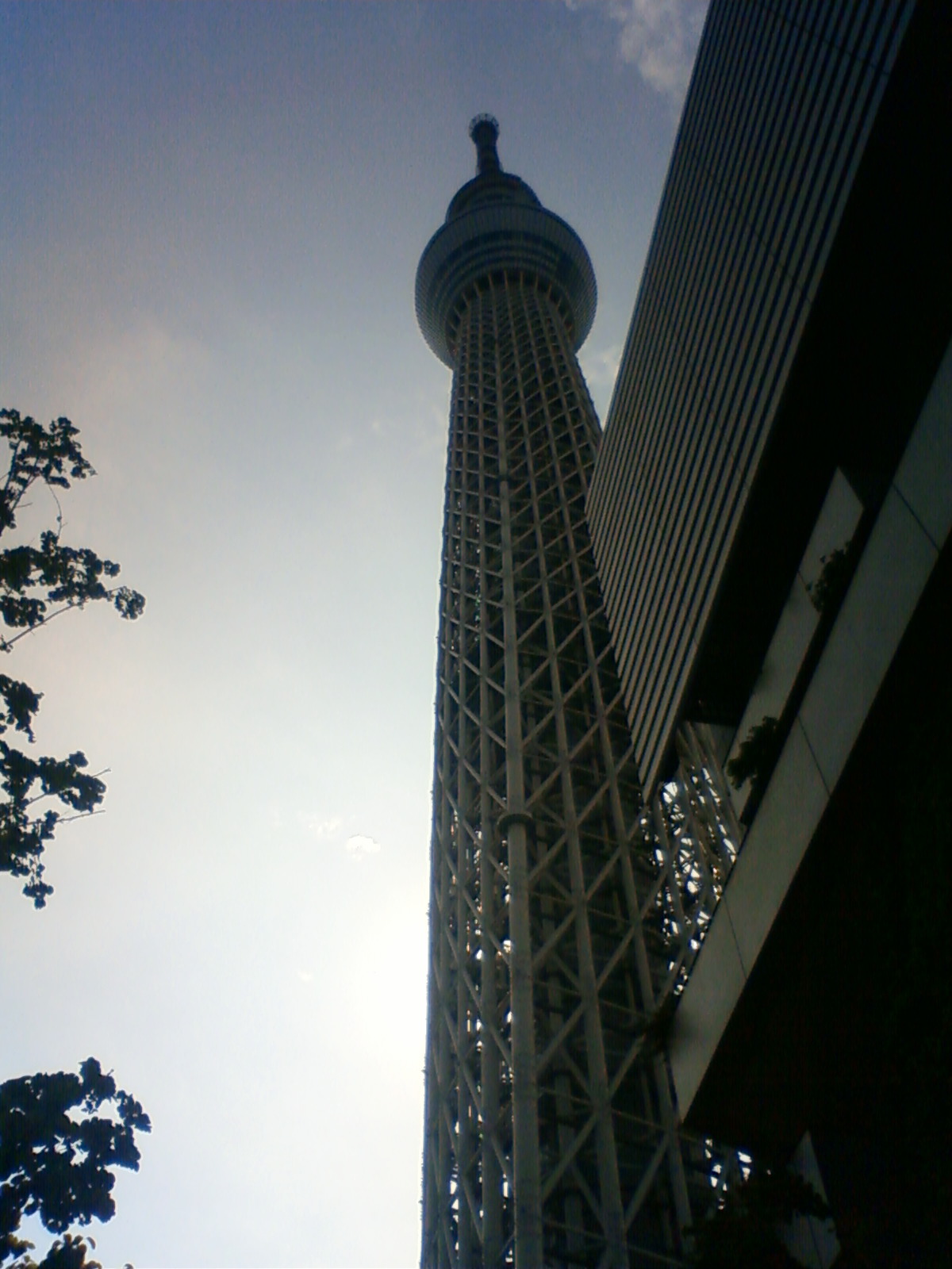 NEC_0880.JPG