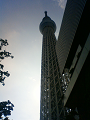 NEC_0880_thumb.png
