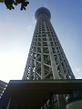 NEC_0881_thumb.png
