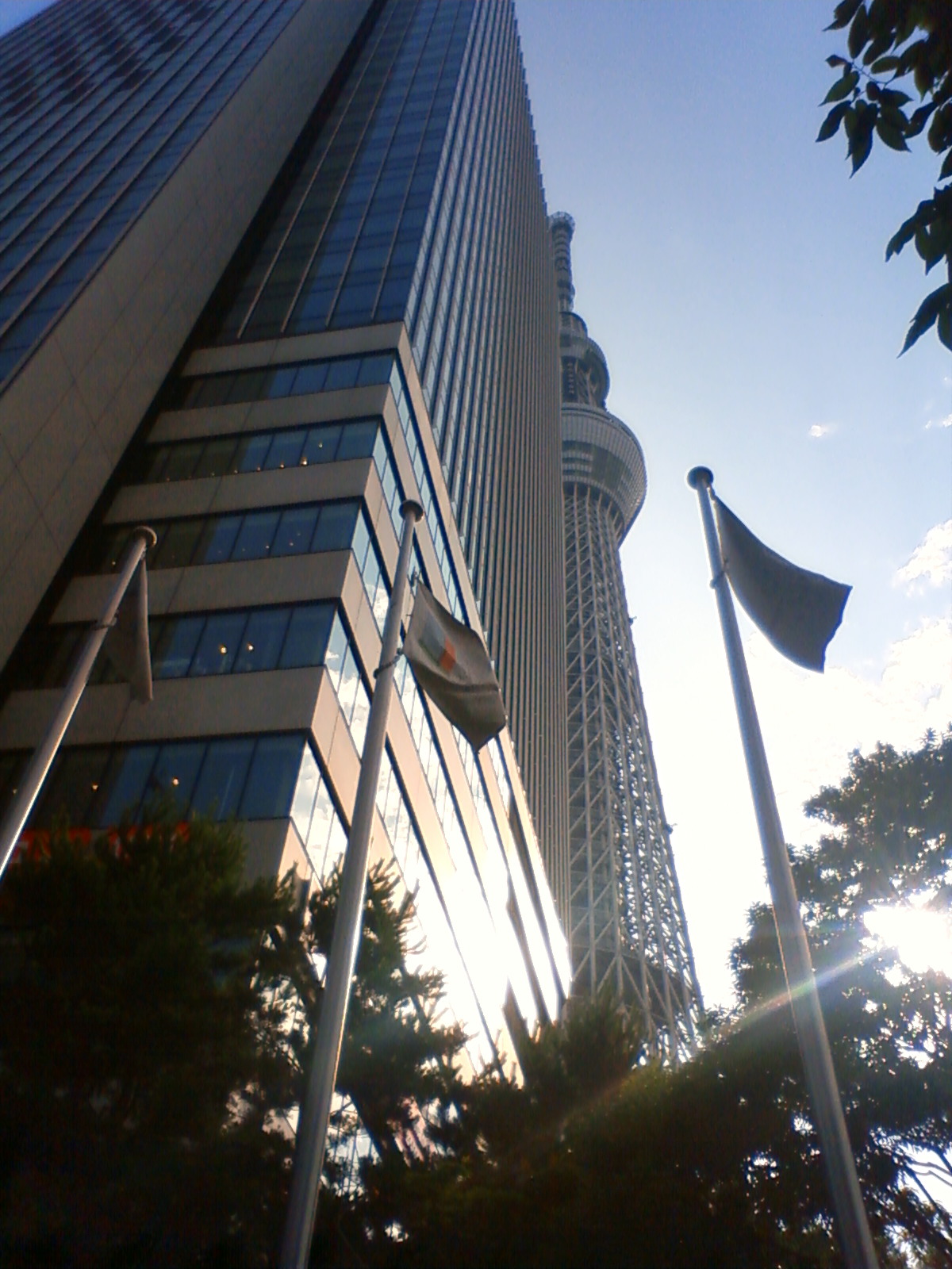 NEC_0886.JPG
