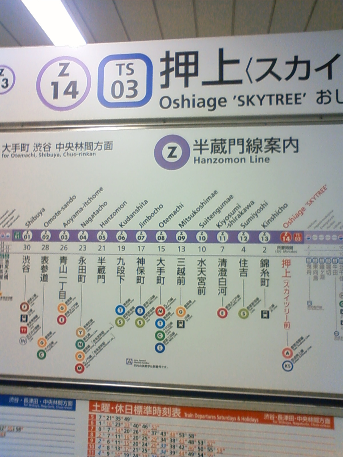 NEC_0888.JPG
