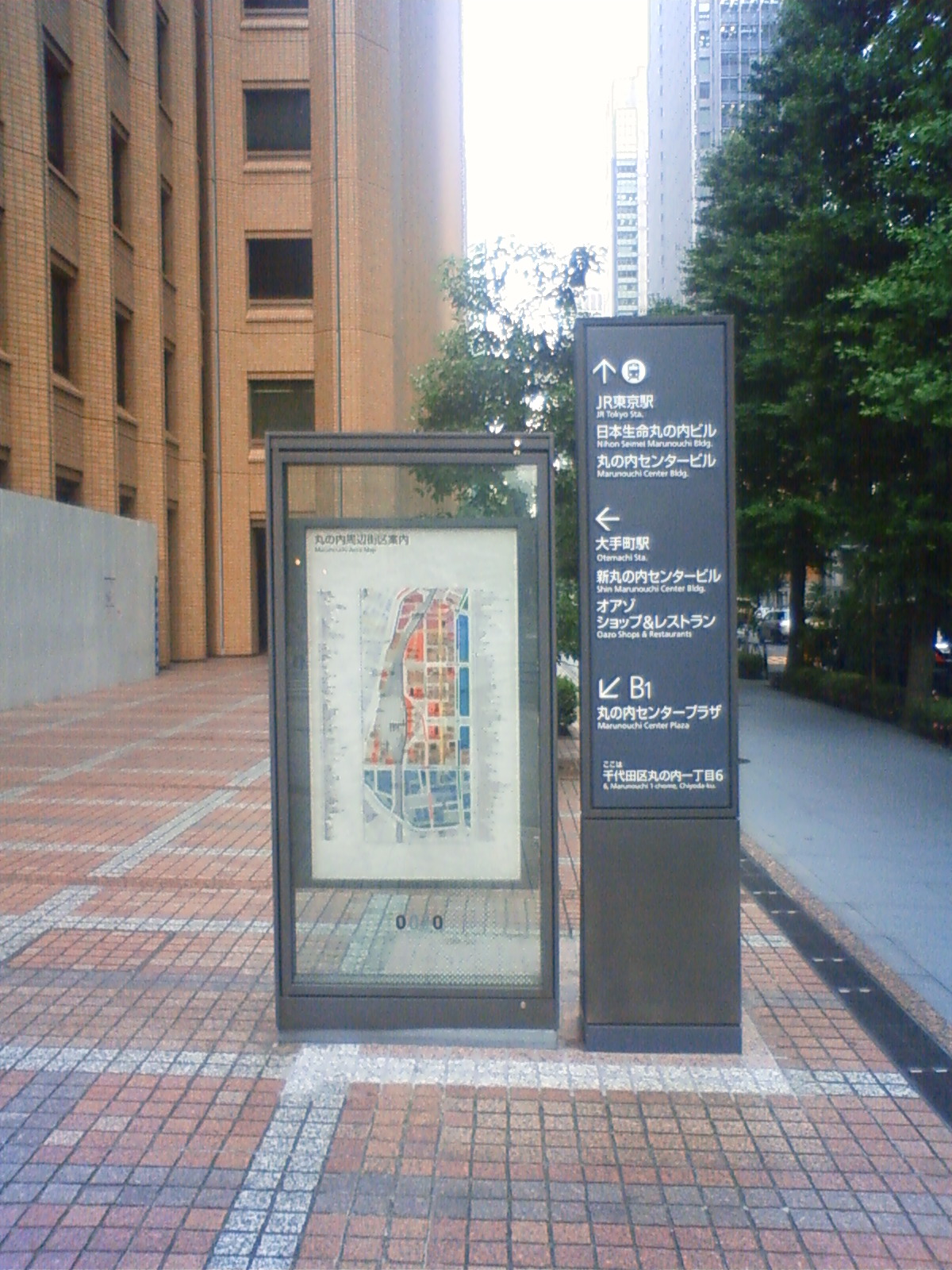 NEC_0891.JPG