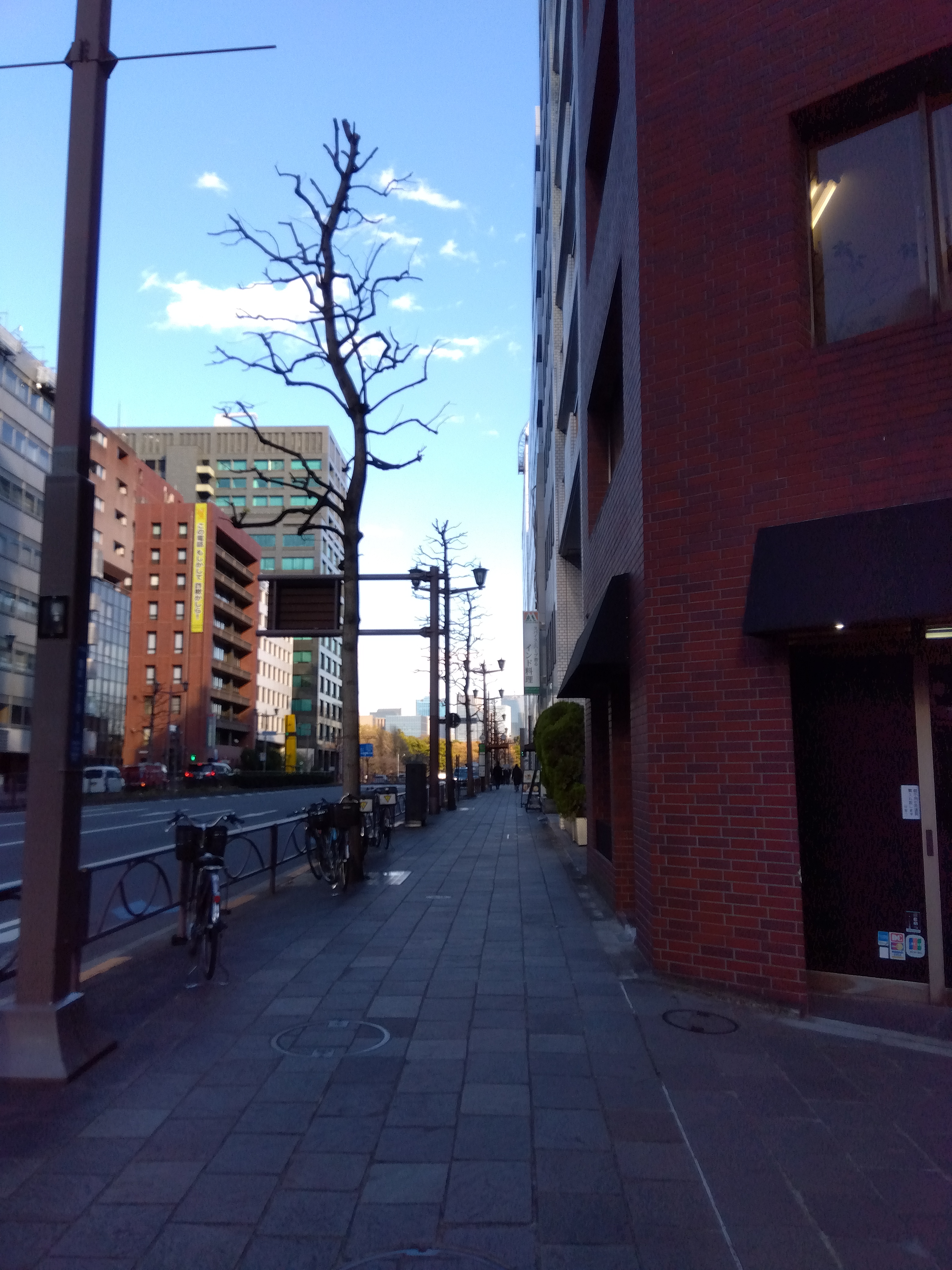 IMG_2025-02-26-15-47-46-000.jpg