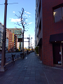 IMG_2025-02-26-15-47-46-000_thumb.png