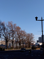 IMG_2025-02-26-15-51-31-248_thumb.png