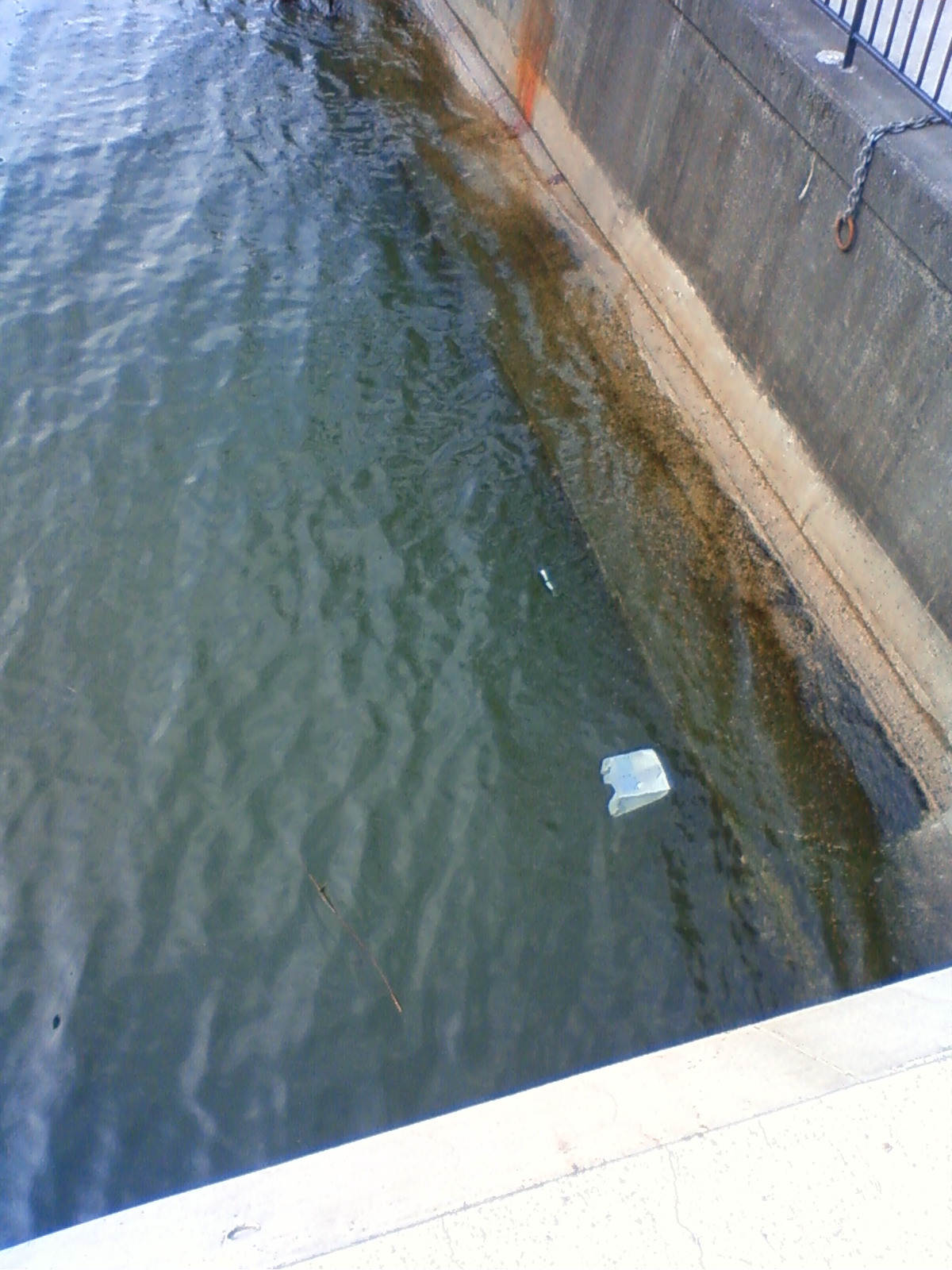 NEC_0203.JPG