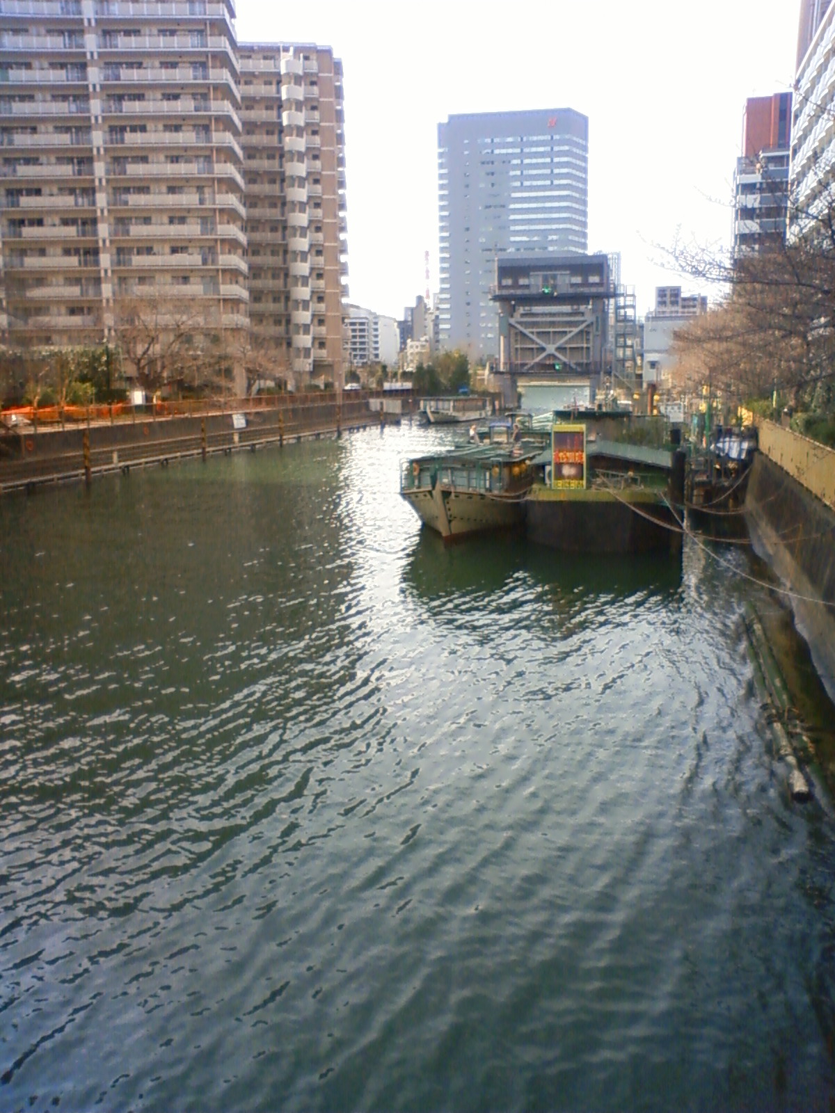 NEC_0204.JPG