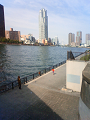 NEC_0213_thumb.png