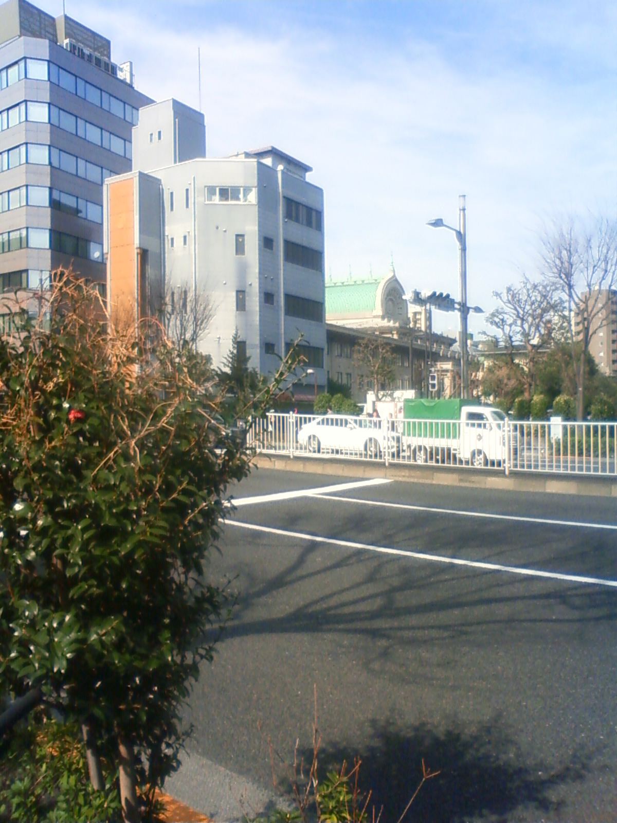 NEC_0219.JPG