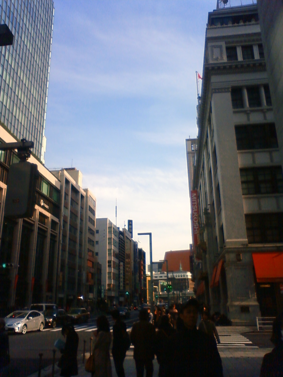 NEC_0250.JPG