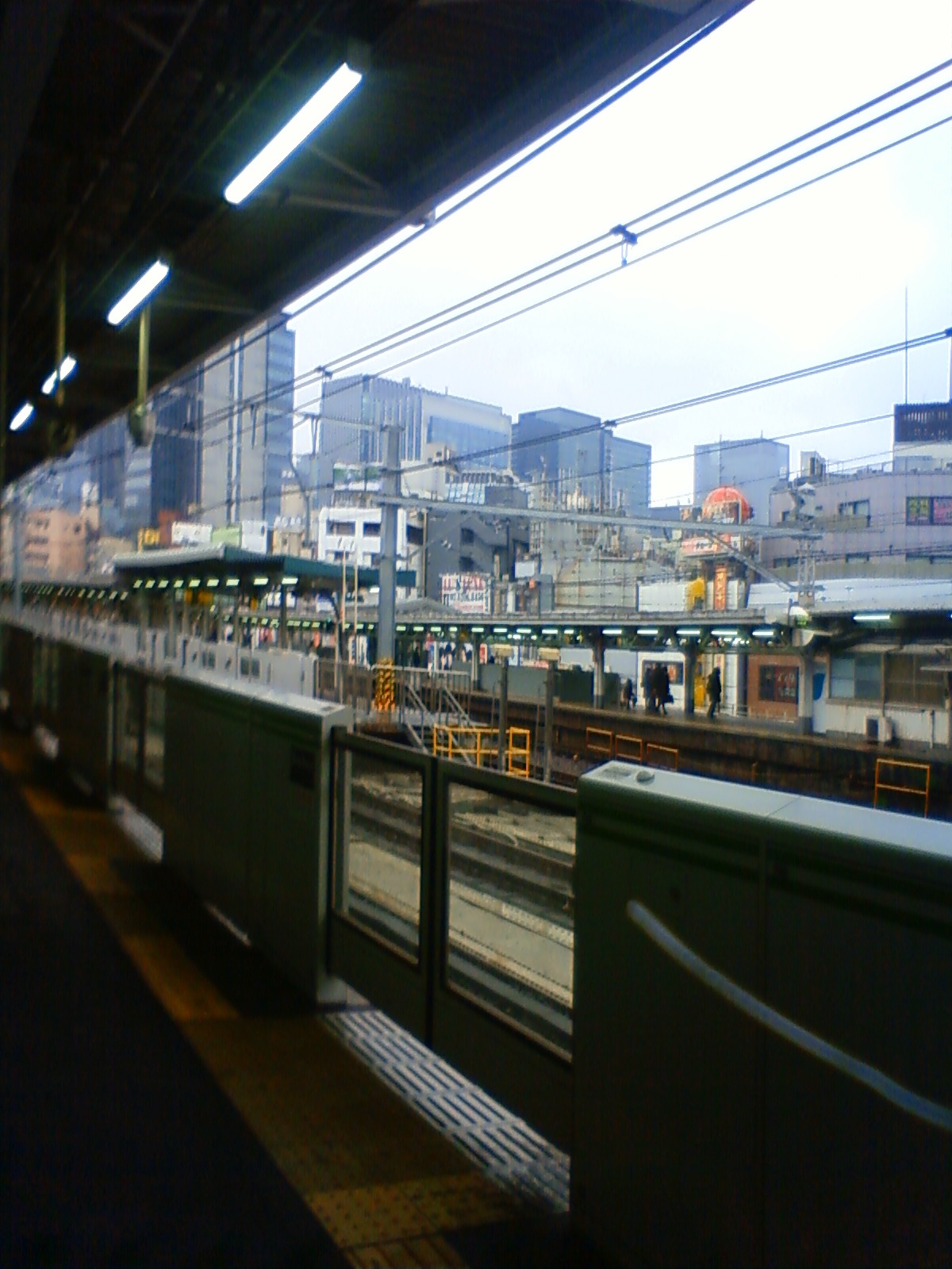 NEC_0271.JPG