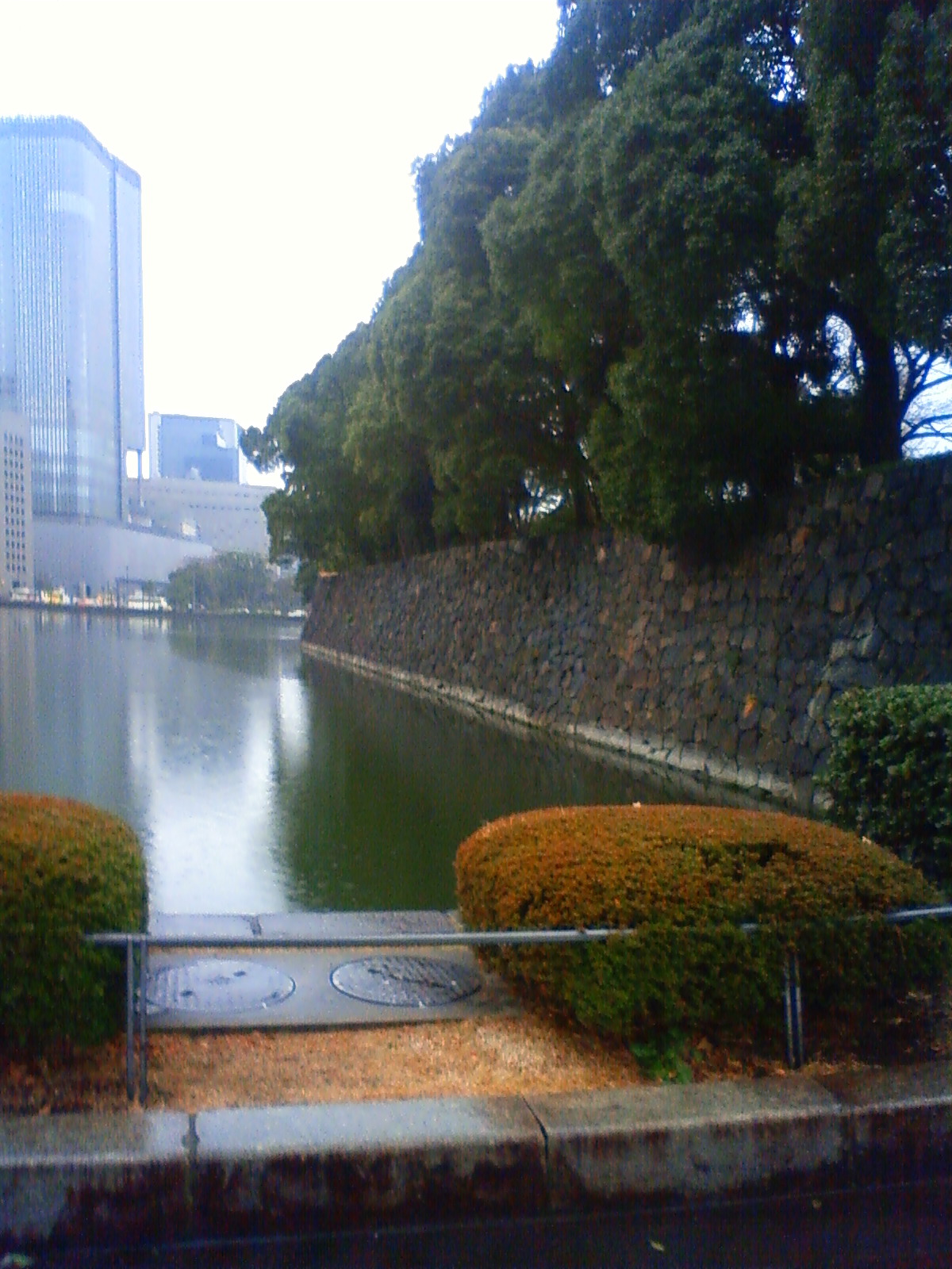 NEC_0273.JPG