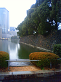 NEC_0273_thumb.png